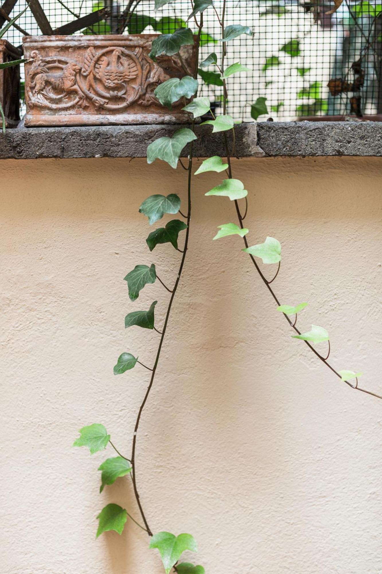 San Pietro Garden House Apartment Rome Exterior photo